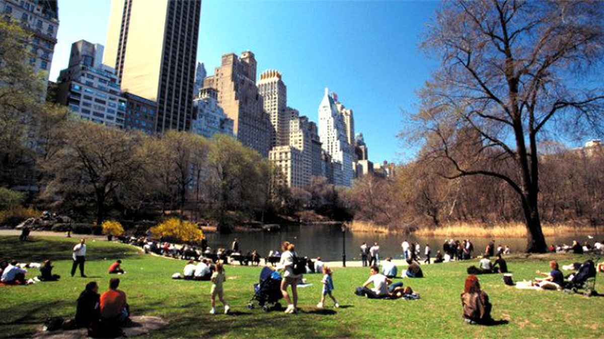 İstanbul'a Dünyayı Kıskandıracak Devasa Şehir Parkı Yapılacak