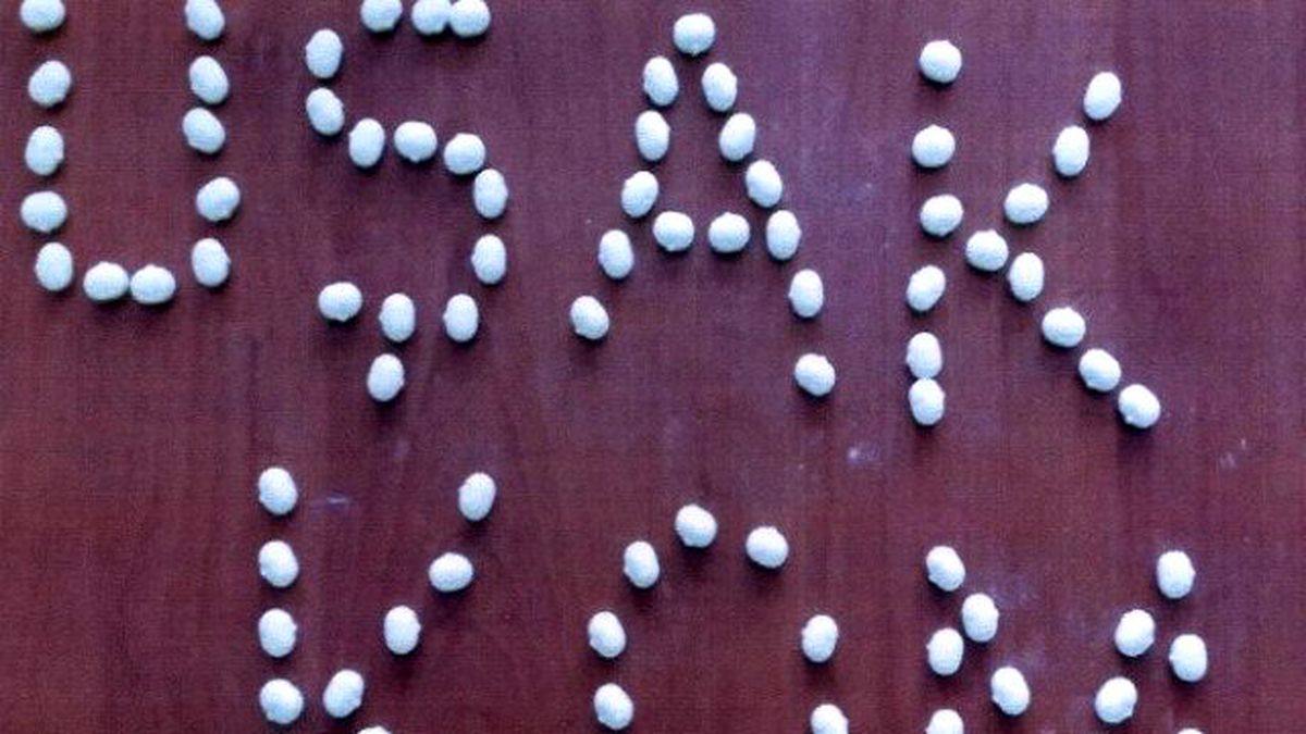 Uşak\'ta Kargo ile Uyuşturucu Hap Ticareti Polise Takıldı