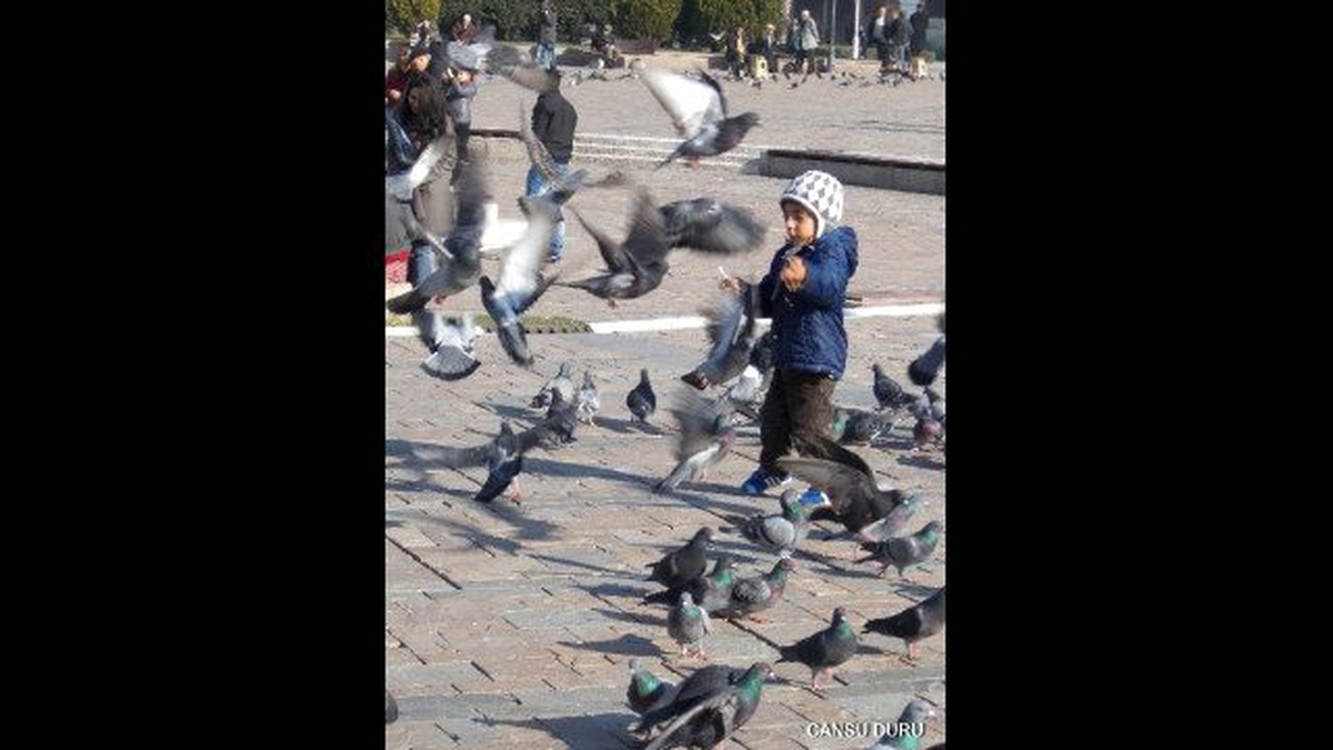 Çocukların Gözünden\' Kemeraltı Büyüledi