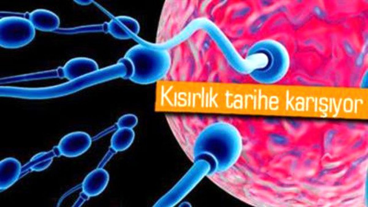 Deriden Yapay Sperm Üretmeyi Başardılar