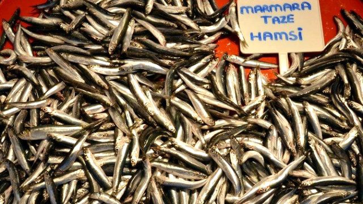 Rusya\'ya Kaçan Hamsinin Kilosu 15 TL\'yi Buldu