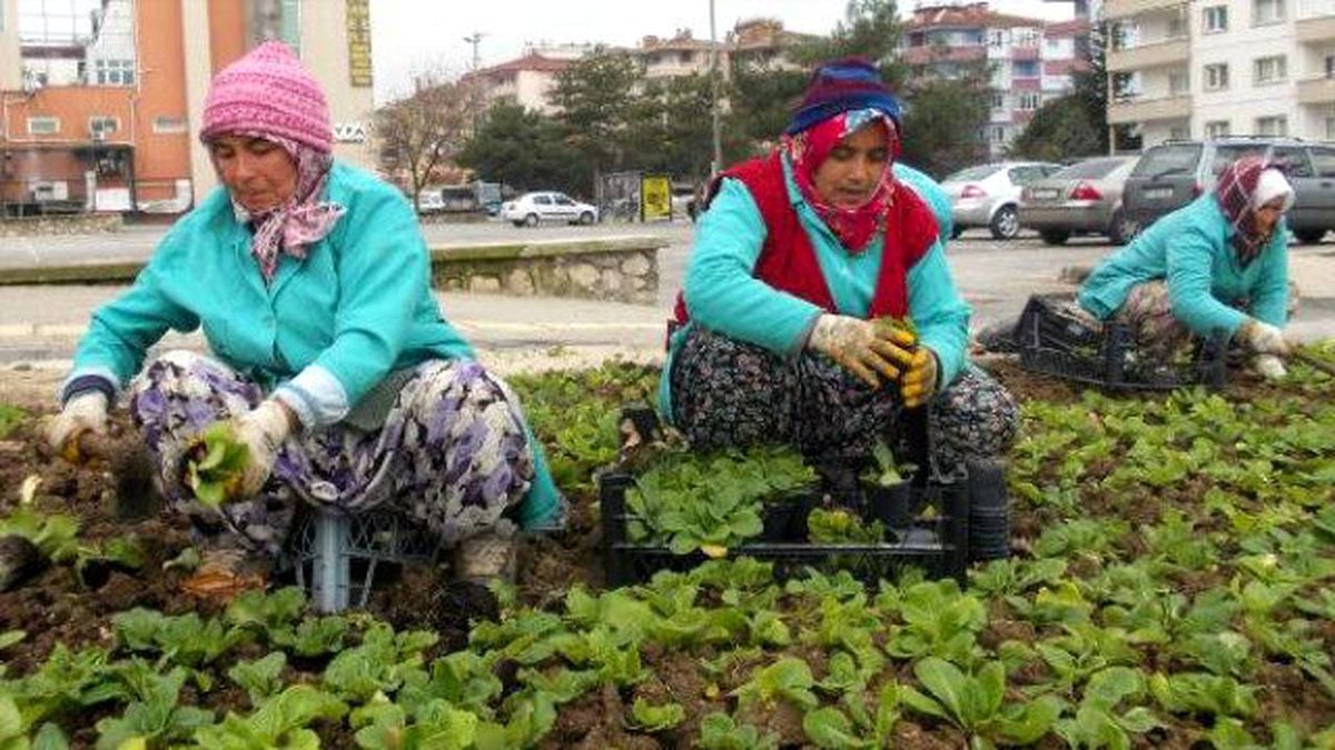 Bursa\'yı Çiçeklendiriyorlar