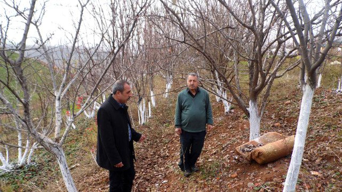 Batman\'da Doğa Katliamı Yaşanacak!