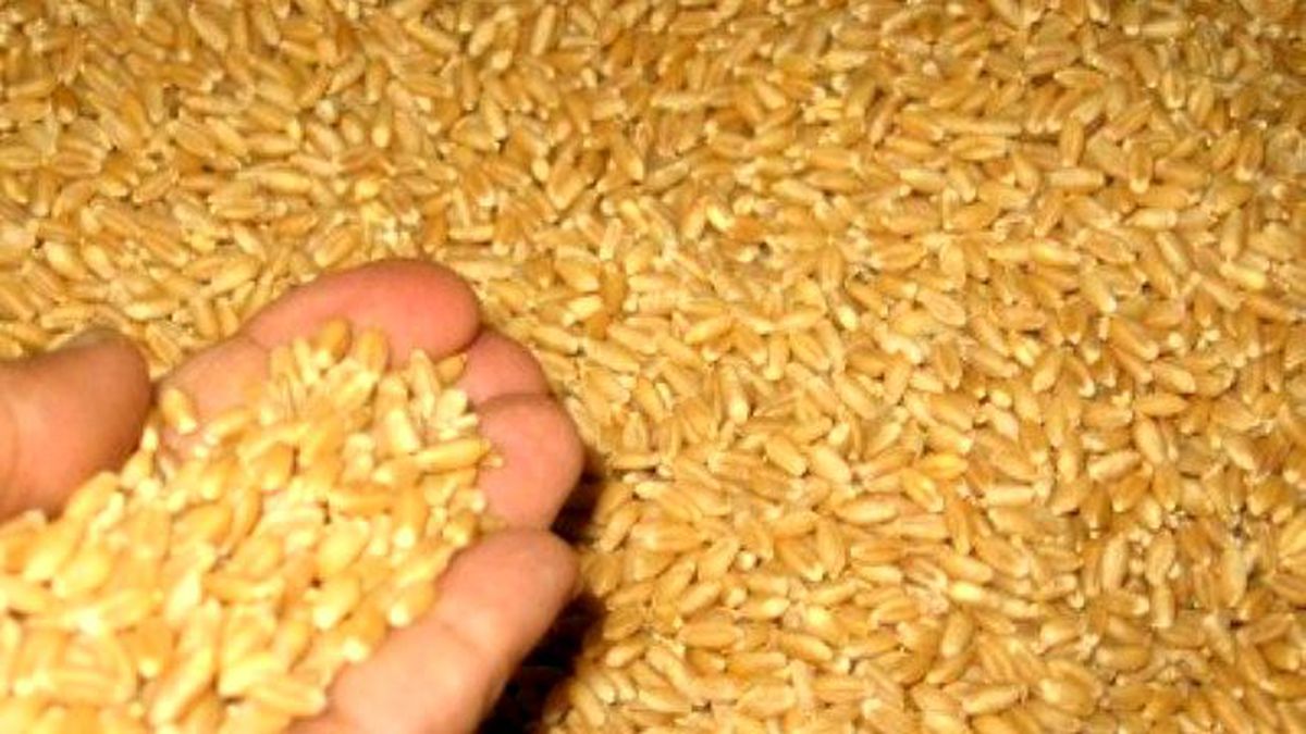 Çorum Ticaret Borsası
