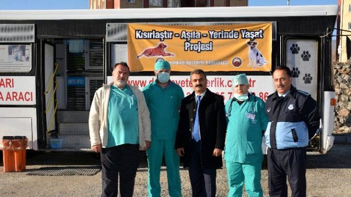Hakkari\'de Sokak Köpekleri Kısırlaştırılıyor