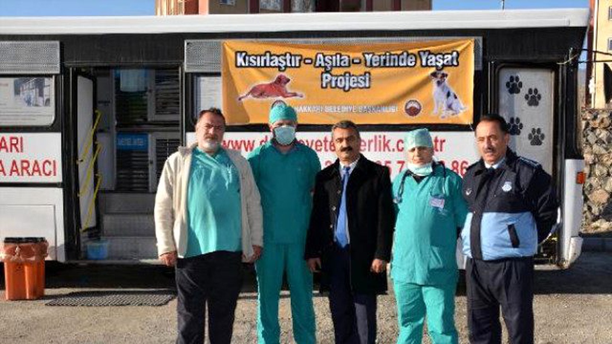 Hakkari\'de Sokak Köpekleri Kısırlaştırılıyor