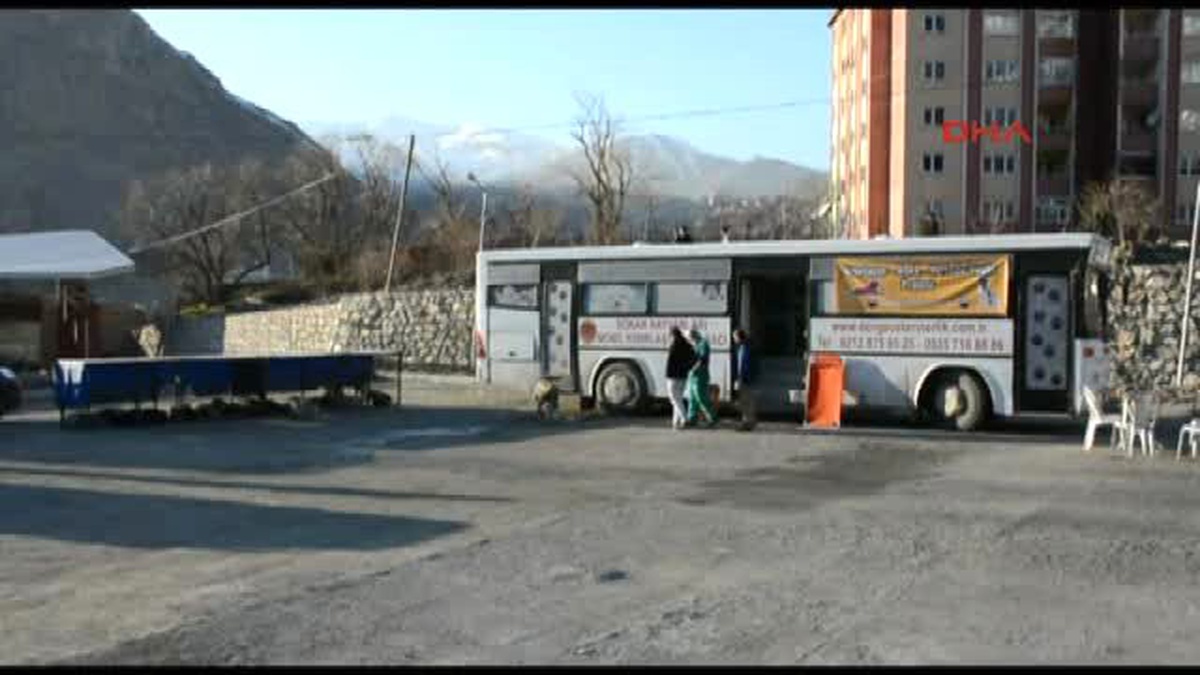 Hakkari\'de Sokak Köpekleri Kısırlaştırılıyor