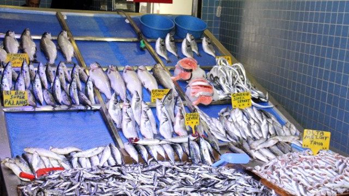 Hamsi Gitti, Balık Fiyatları Arttı