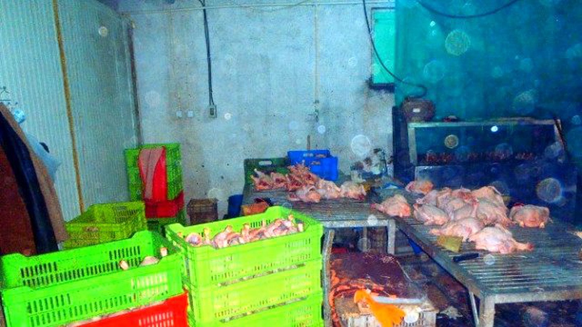 Kartepe\'de Kaçak Tavuk Kesimi Yapanlara Baskın