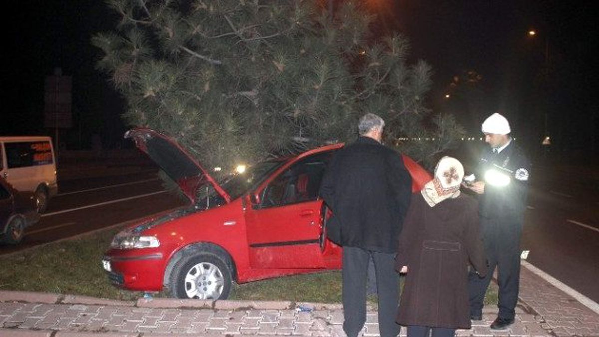 Kazada Savruldu Ağaca Çarparak Durdu