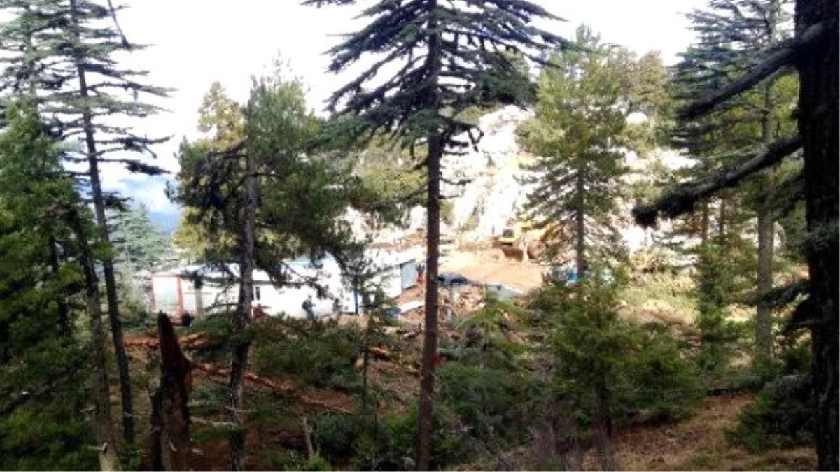 Antalya\'da 800 Yıllık Sedirler Mermer Ocağı Kurbanı