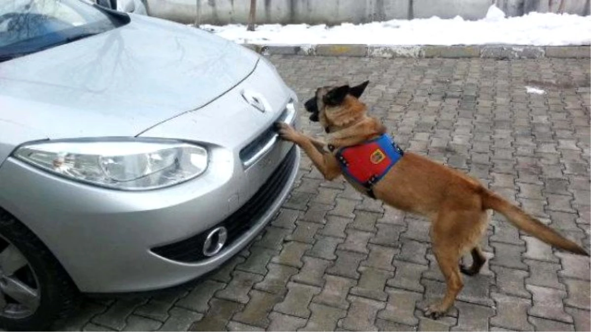 Jandarmanın Eğitimli Köpeği \'Akşam\', Otomobildeki 10 Kilo Eroini Buldu