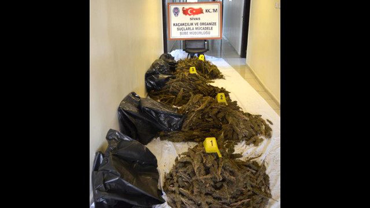 Polisten Kaçan Araçta 53 Kilo Esrar Ele Geçirildi