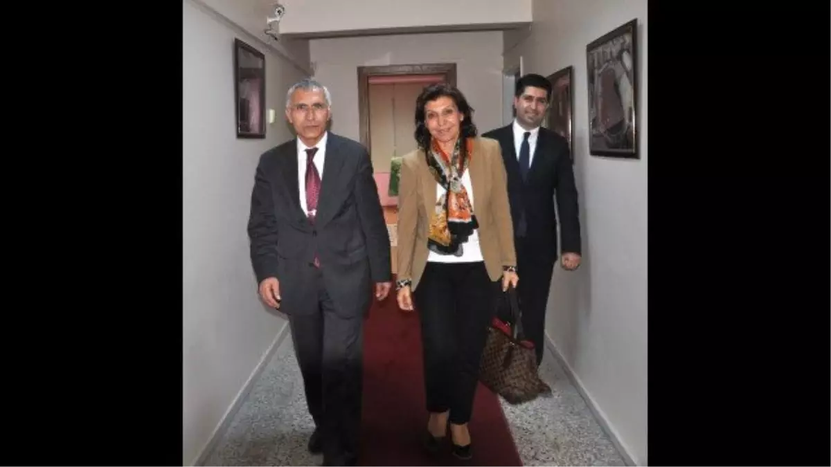 Satranç Federasyonu Başkanı Tülay, Hadi'yi Ziyaret Etti