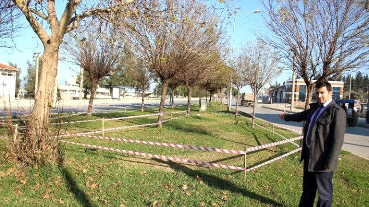 Tire\'nin Sembolü Lalelerin Dikimine Başlandı
