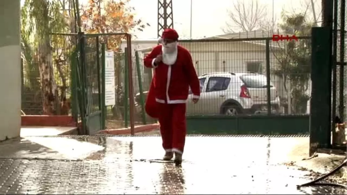 Adana Noel Baba, Sokak Hayvanlarına Mama Dağıttı