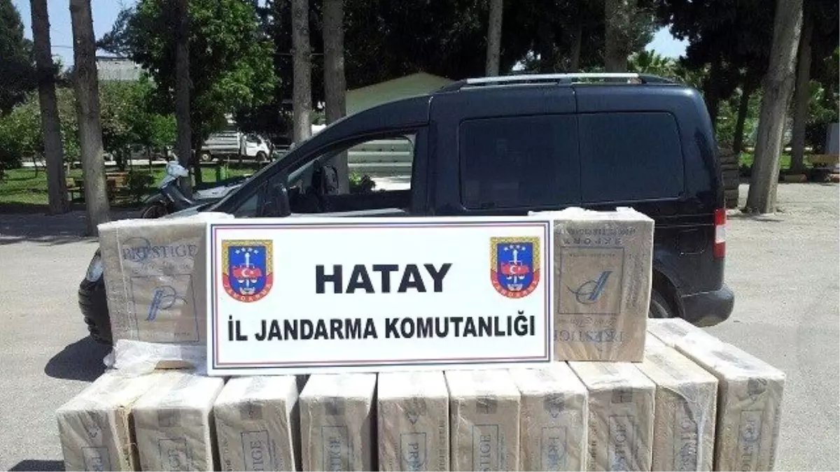 Hatay\'da Kaçakçılık Operasyonları