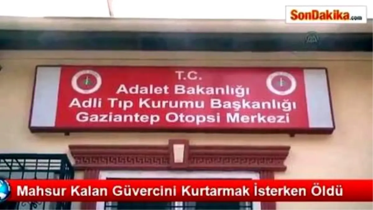 Mahsur Kalan Güvercini Kurtarmak İsterken Öldü