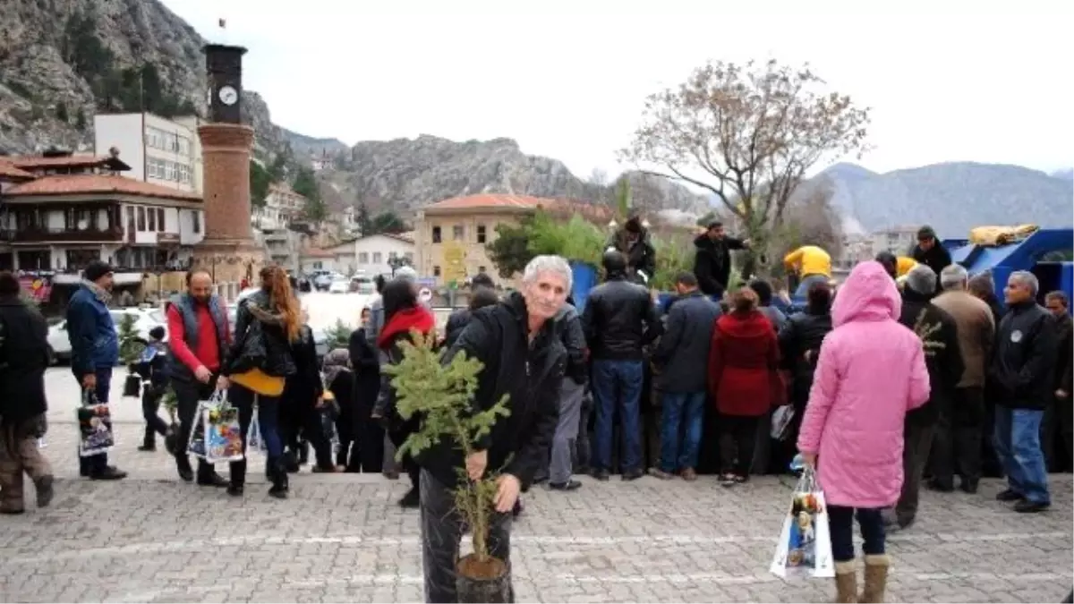 Ücretsiz Fidanlar Kapış Kapış Gitti