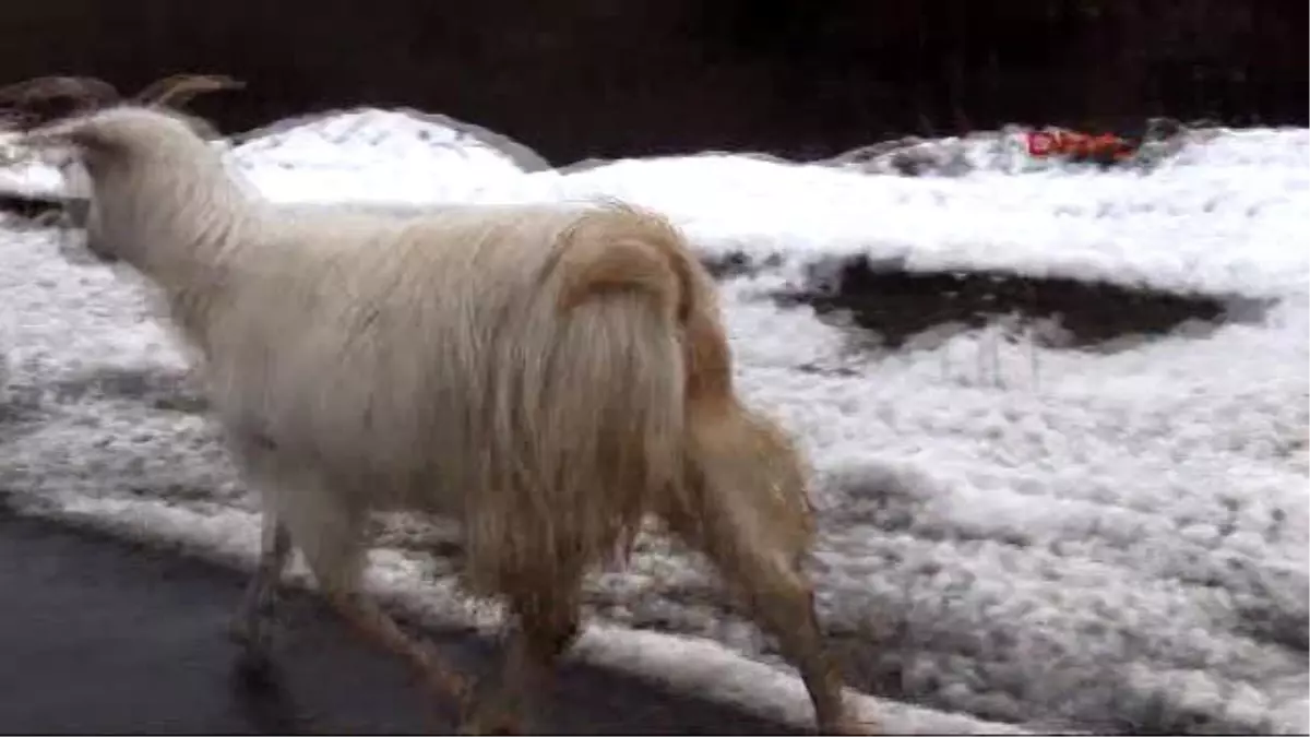 Zonguldak\'ta 47 Köy Yolu Ulaşıma Kapandı