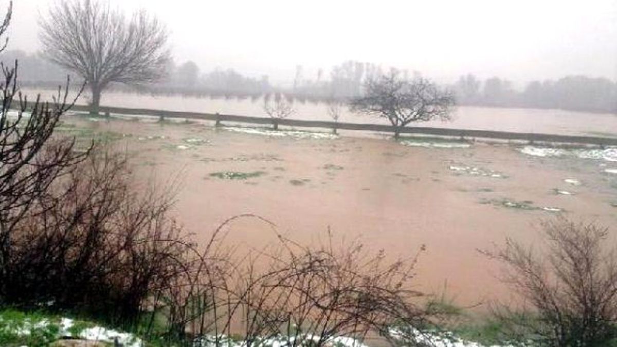 22 Bin Tavuk Boğularak Telef Oldu