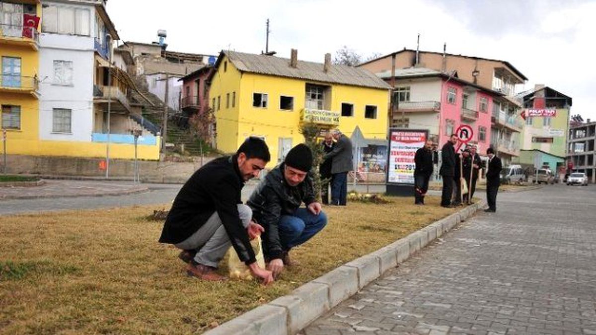 Afşin\'de 15 Bin Lale, Nergis ve Sümbül Soğanı Ekiliyor
