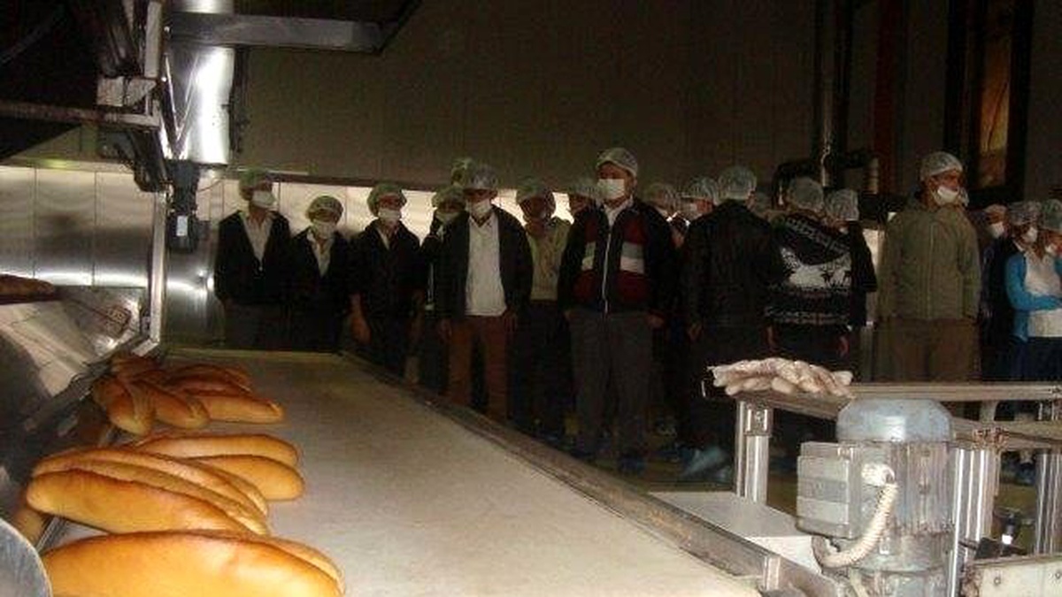 Halk Ekmek, Haftanın Üç Günü Öğrencileri Ağırlıyor