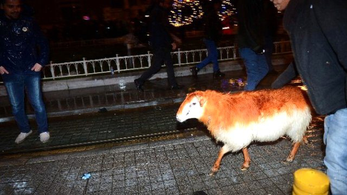 İstiklal Caddesindeki Yeni Yıl Coşkusuna Taksime Koyunuyla Katıldı