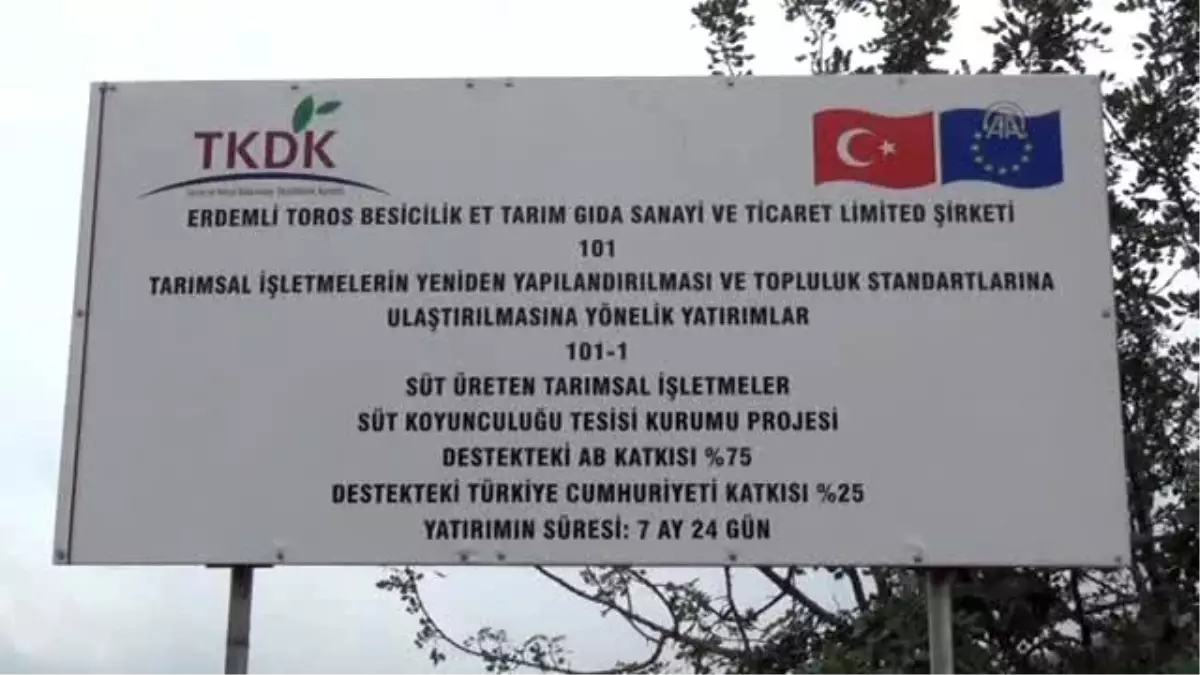 Yeni Yılı İkiz Kuzularıyla Karşıladı