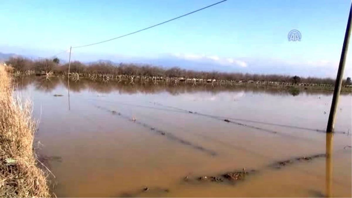 Büyük Menderes Nehrindeki Su Taşkını Giderildi