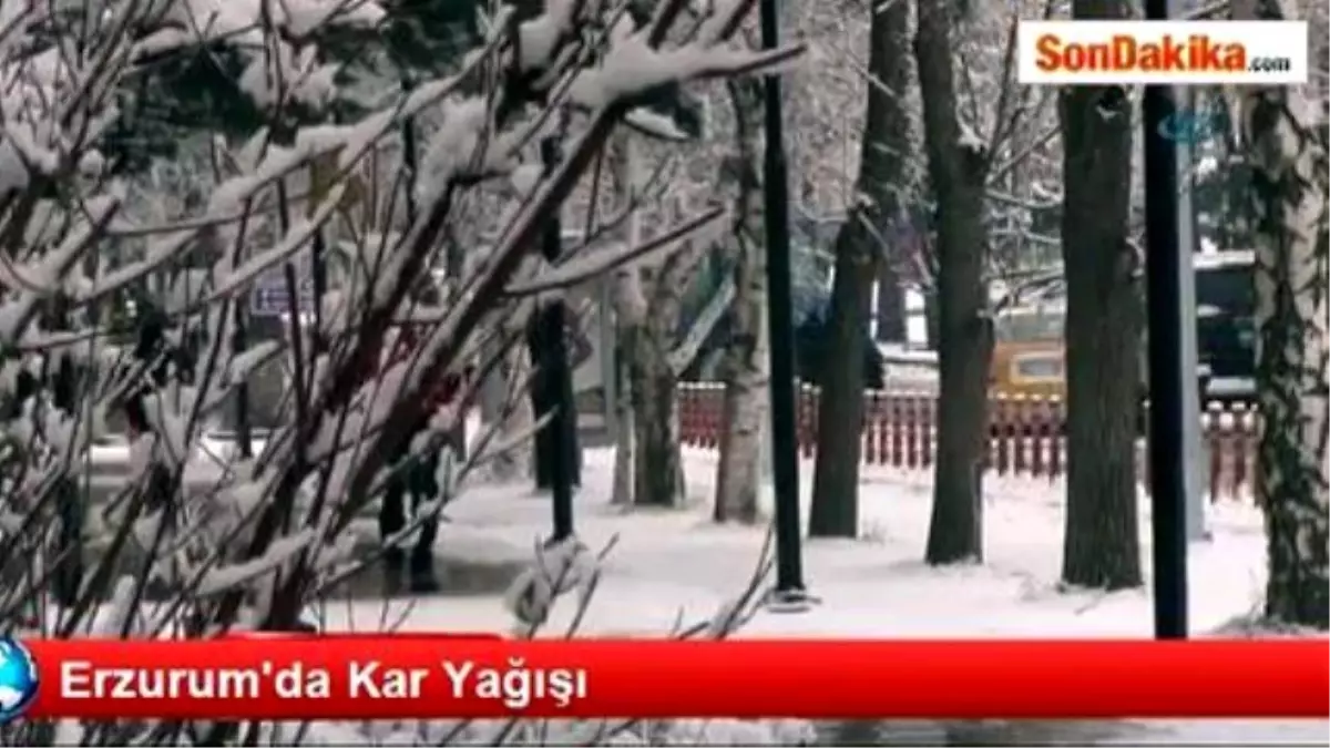 Erzurum\'da Kar Yağışı