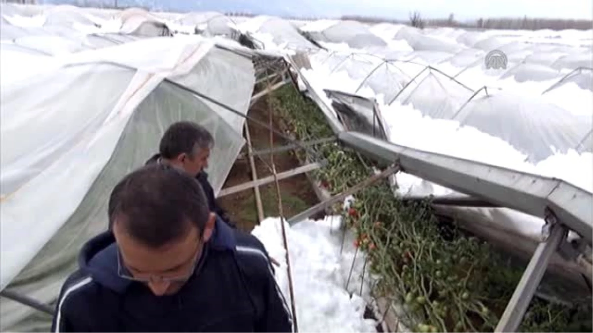 Kar Yağdı, Çiftçi 6 Milyon Lira Zarar Etti"