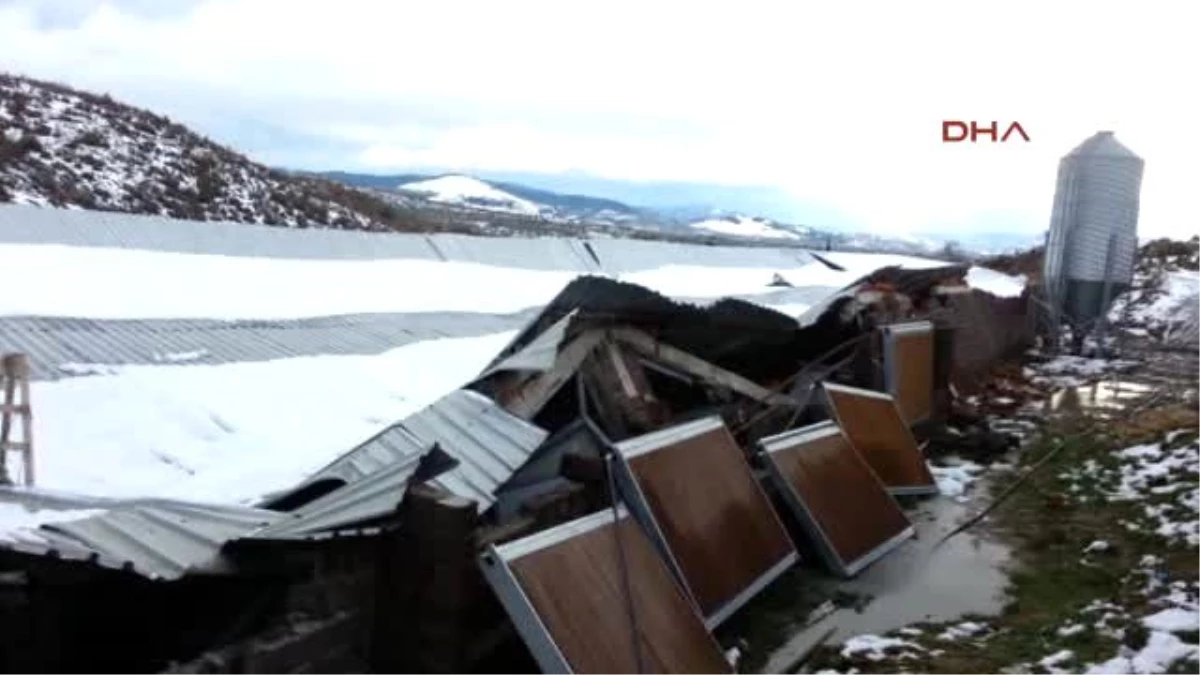 Kırkağaç\'ta Kar Yüzünden Sera ve Tavuk Çiftliklerinin Çatıları Çöktü
