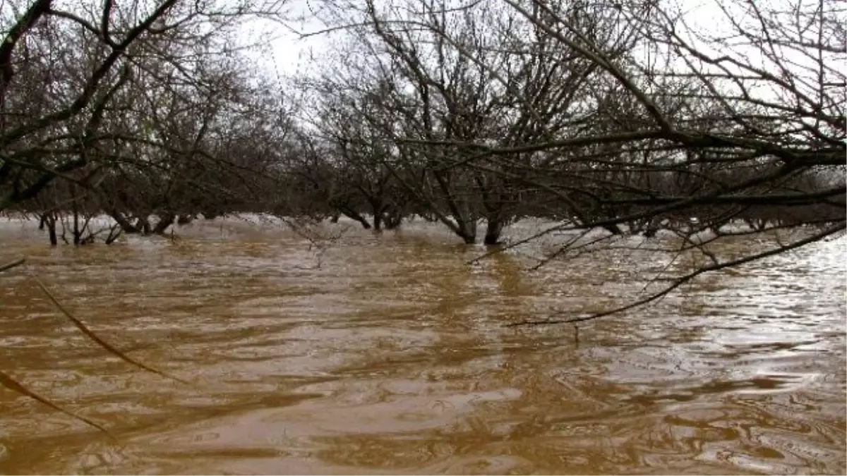 Menderes Taştı, Aydın Ovası Göle Döndü