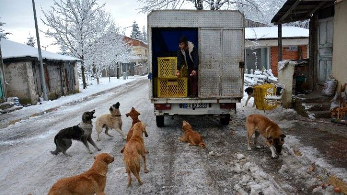 Fırıncıdan Her Gün İnsanlık Dersi