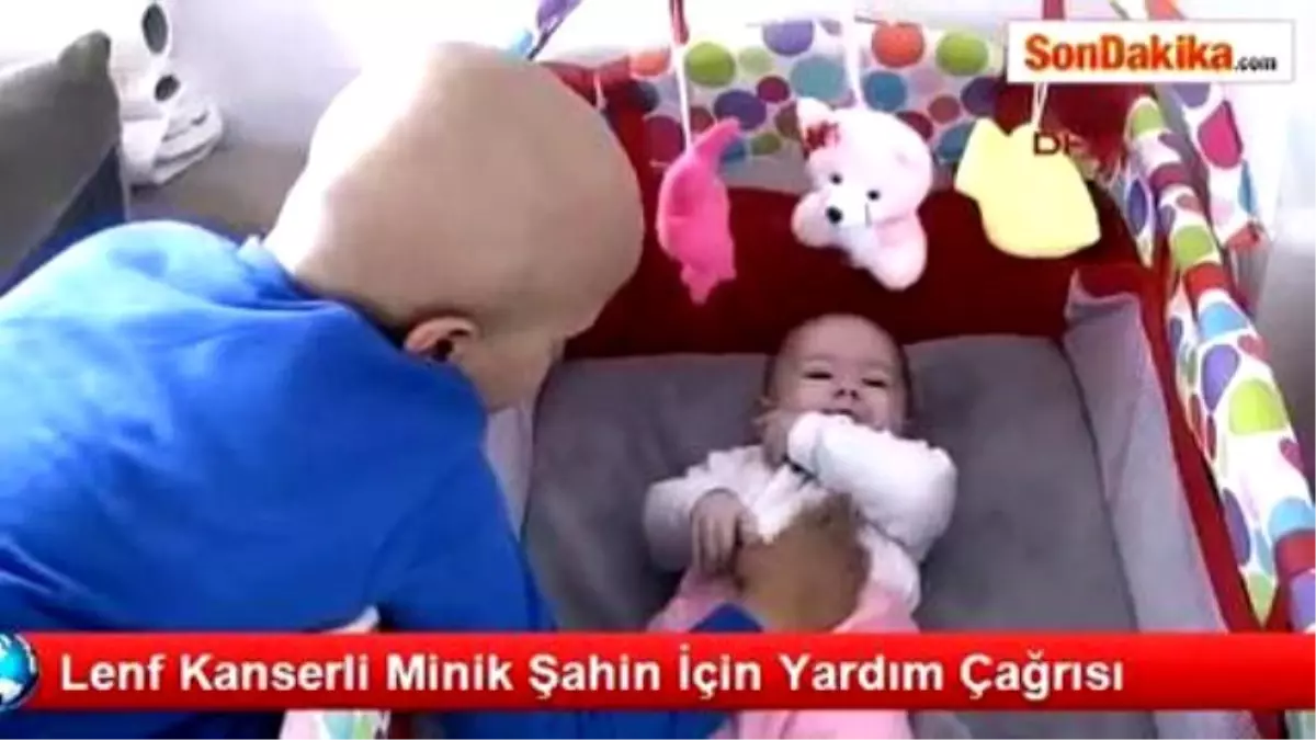 Lenf Kanserli Minik Şahin İçin Yardım Çağrısı