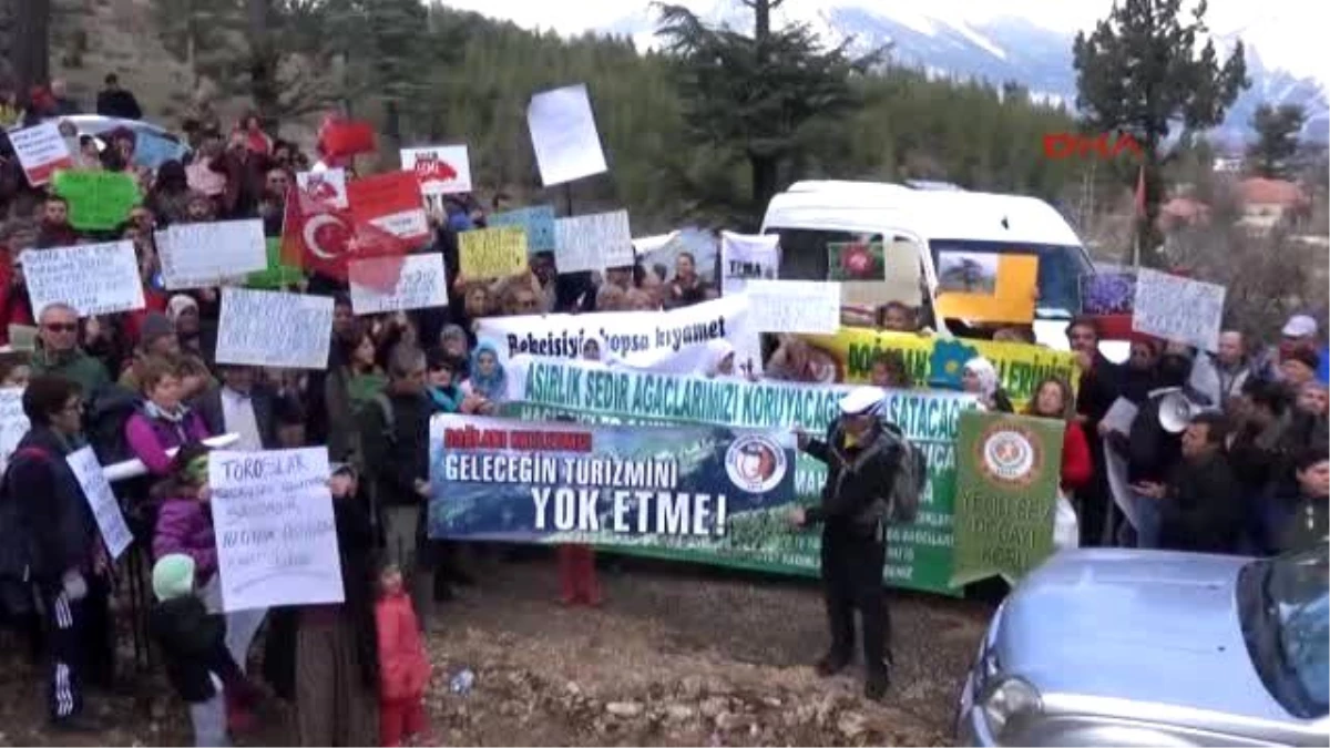 Antalya 800 Yıllık Sedirleri Kesen Mermer Ocağı Protesto Edildi