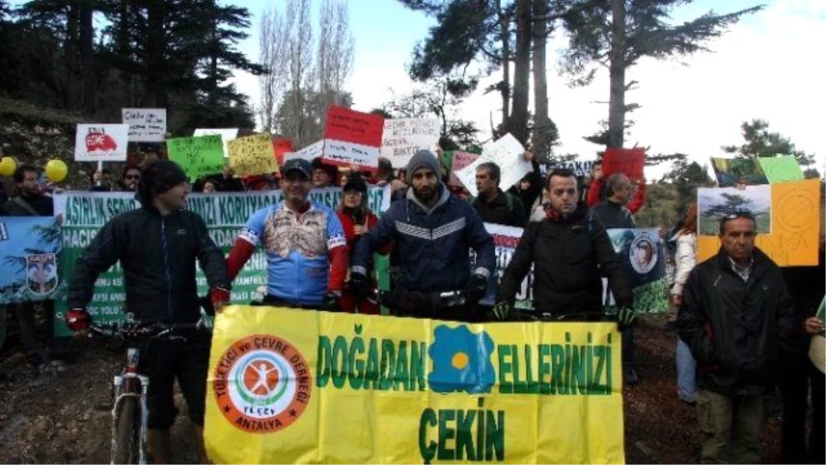 Antalya\'da 500 Kişilik "Sedir Ağacına Dokunma" Eylemi