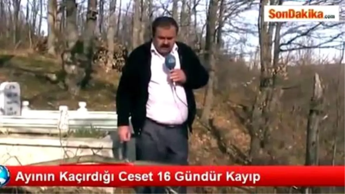 Ayının Kaçırdığı Ceset 16 Gündür Kayıp