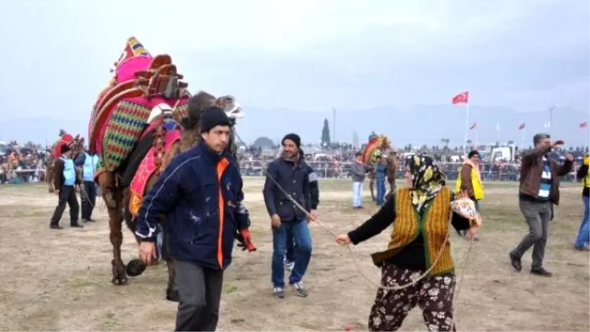 Devesi Güreşirken Heyecandan Yerinde Duramadı