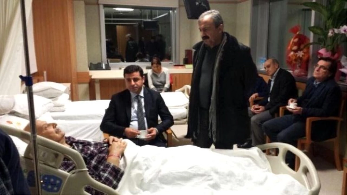 Hdp Adana Milletvekili Bozlak Hayatını Kaybetti