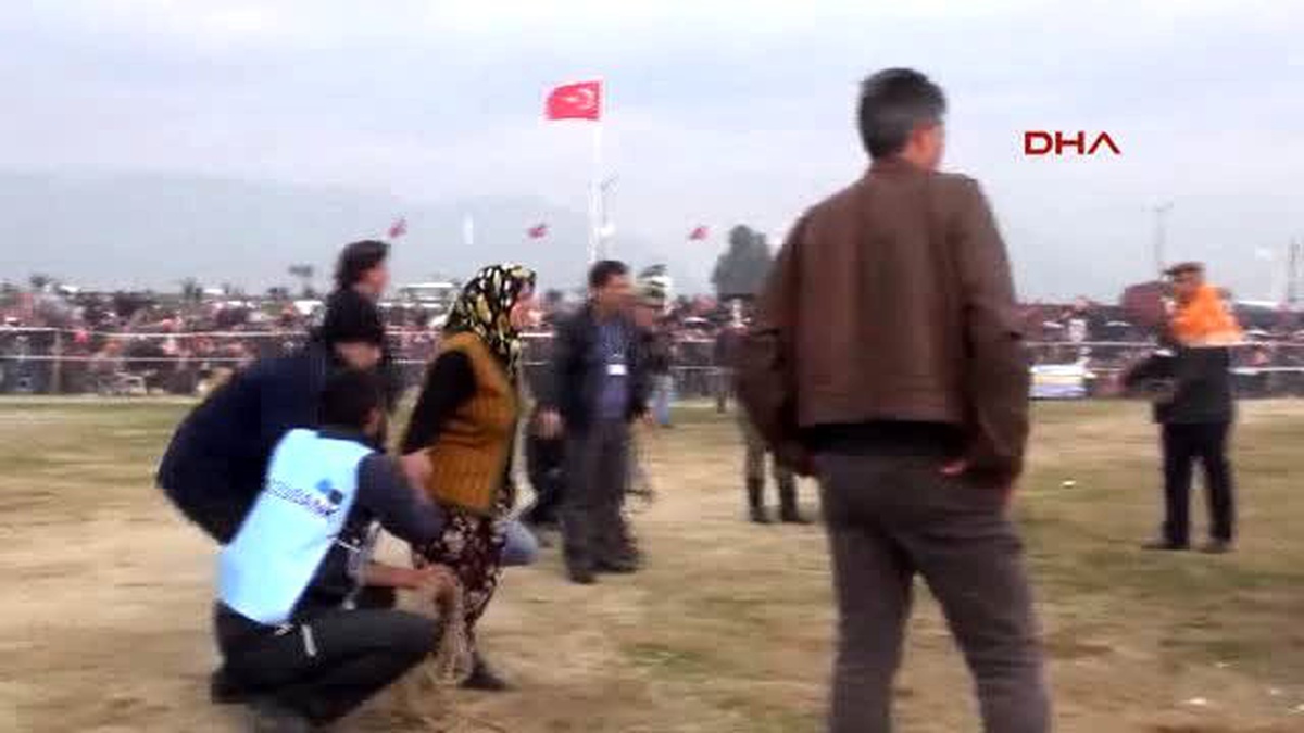 İncirliova Devesi Güreşirken Heyecandan Yerinde Duramadı
