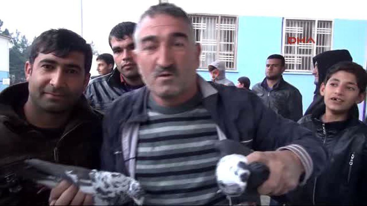 Şanlıurfa Semalarında Güvercin Savaşları