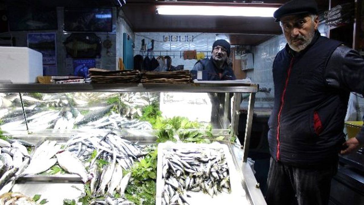 Balık Fiyatları Yükselişini Sürdürdü