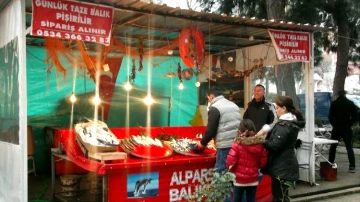Erdek\'te Balık Fiyatları Tavan Yaptı