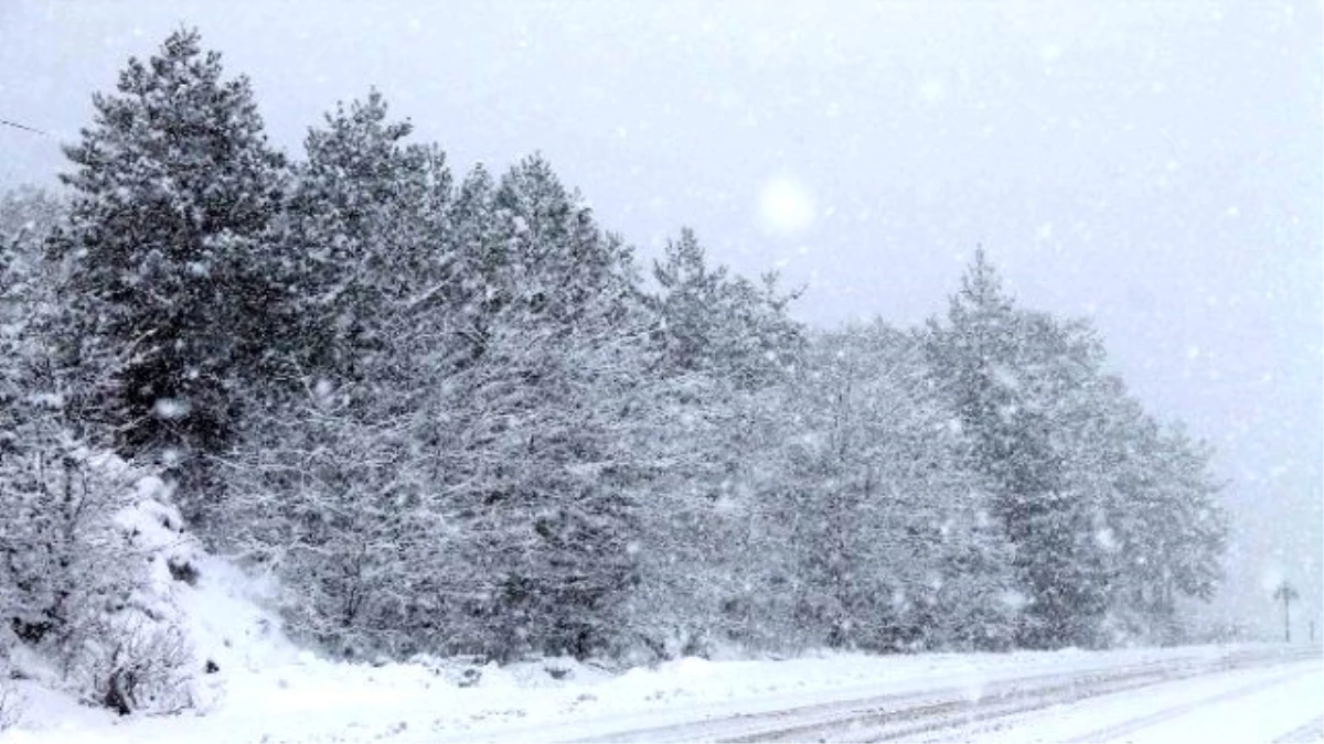 Ilgaz Dağında, Kar Yağışı Başladı