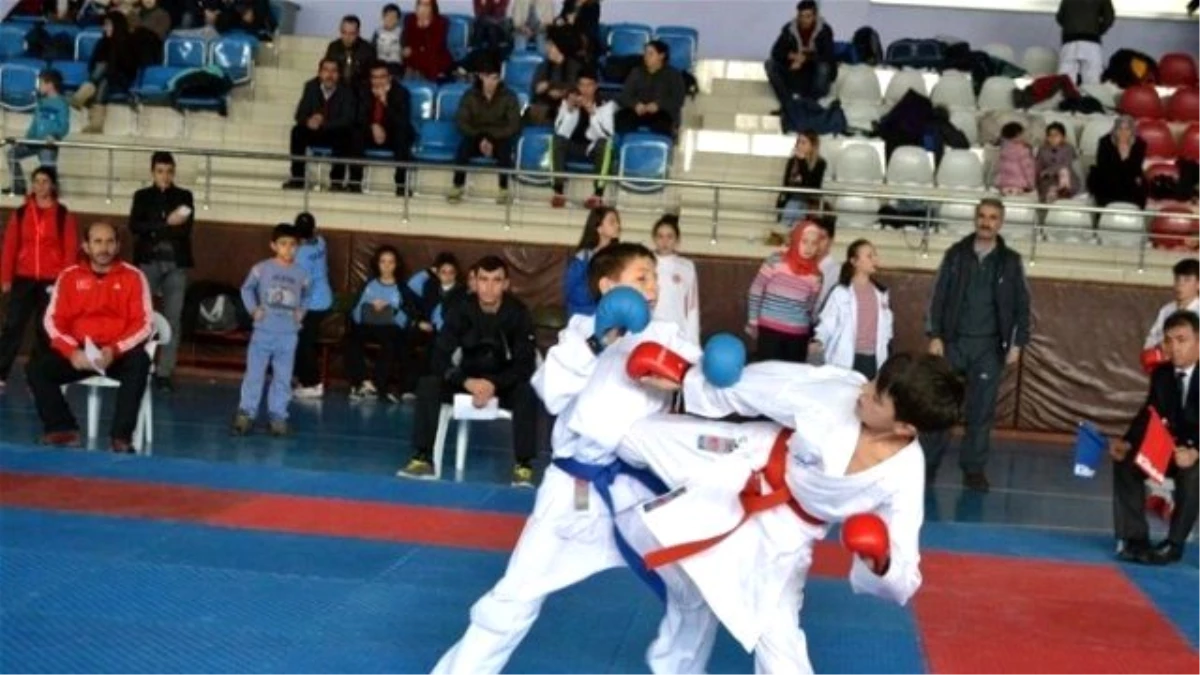 Trabzonlu Karateciler Madalyaları Topladı