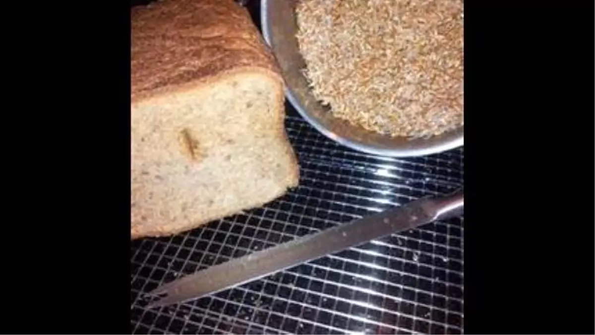 Essene Bread For The Bread Machine