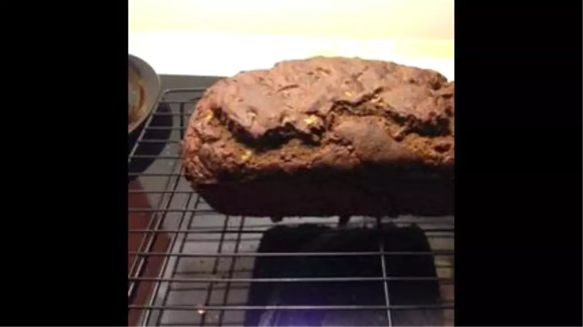 Zucchini Bread Gluten Free