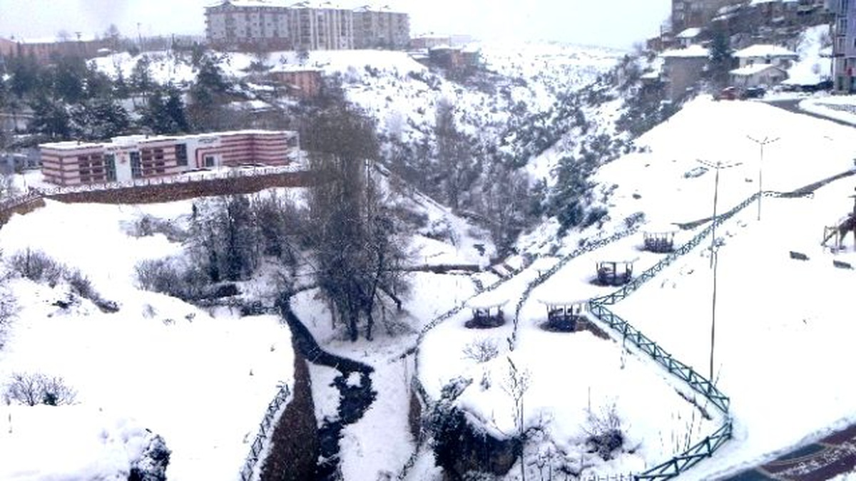 Bilecik\'te Dondurucu Soğuk ve Kar Esareti Sürüyor